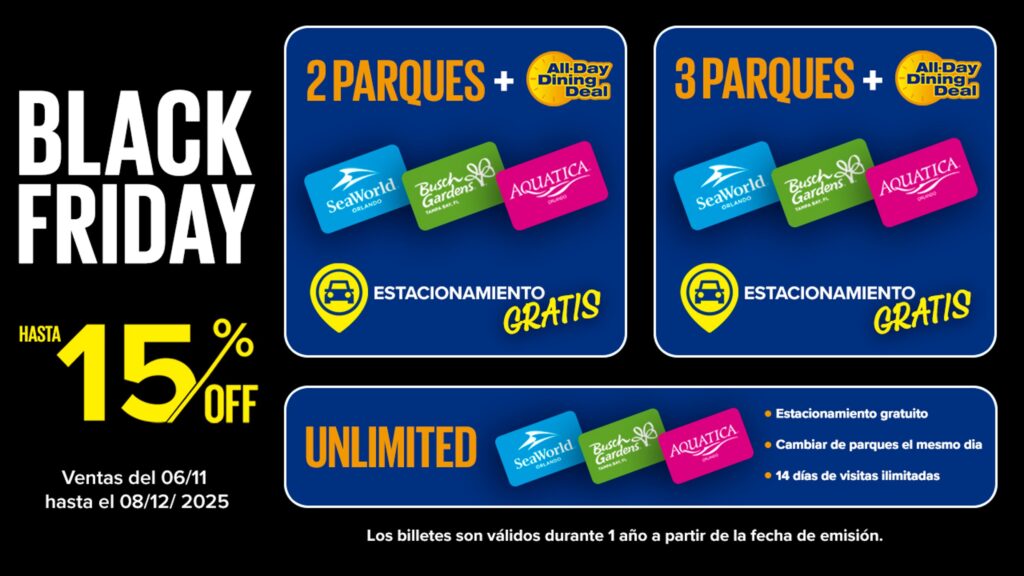 BLACK FRIDAY 15% 2025