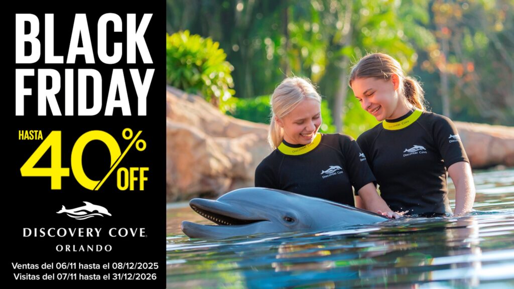 BLACK FRIDAY 40% DISCOVERY 2025